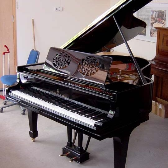 pianostammare56